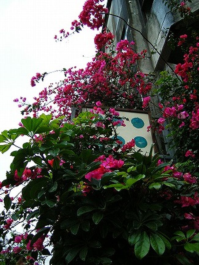 のんびりとした休日 In ナハ 1日目 春の雨と癒し編 沖縄県の旅行記 ブログ By ニーコさん フォートラベル のんびりとした休日 In ナハ 1日目 春の雨と癒し編 沖縄県の旅行記 ブログ By ニーコさん フォートラベル