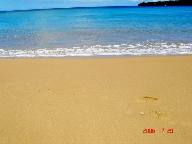 7/29 (土)<br />06:30　羽田発　JTA0071<br />09:35　石垣着<br /><br />石垣からはフェリーで西表島へ渡ります<br /><br />沖縄はきれいな浜が多いのですが、これだけ荒らされていない浜は珍しい。<br />ちょっと以前に行ったモルディブを思い出しましたね。あそこは毎朝、スタッフが掃き掃除をしていたので、本当にきれいだった。でも貝や珊瑚の細かくなっている分が多いので、転ぶと大変よね～、と言っていたら転んですごい擦り傷を作った嫌～な記憶が・・・<br /><br /><br />