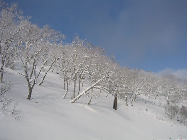 友人とにぎやかにスキーで年越しをするために、ちょっと奮発してトマムまで。<br /><br />12/31 (火) <br />10:25 羽田発 JAS109<br />11:55 新千歳着<br />13:04 新千歳空港発　快速エアポート<br />13:07 南千歳<br />13:15 南千歳発　とかち5号<br />14:41 トマム着<br /><br />アルファリゾートトマム　タワー<br /><br />食事に行くのに通る通路も−20℃・・・<br /><br />でも年越の花火大会はきれいでした<br /><br />1/3 (金)<br />14:45 トマム発　とかち8号<br />16:03 南千歳<br />16:13 南千歳発　快速エアポート<br />16:16 新千歳空港<br />17:30 新千歳発　ANA66<br />19:00 羽田