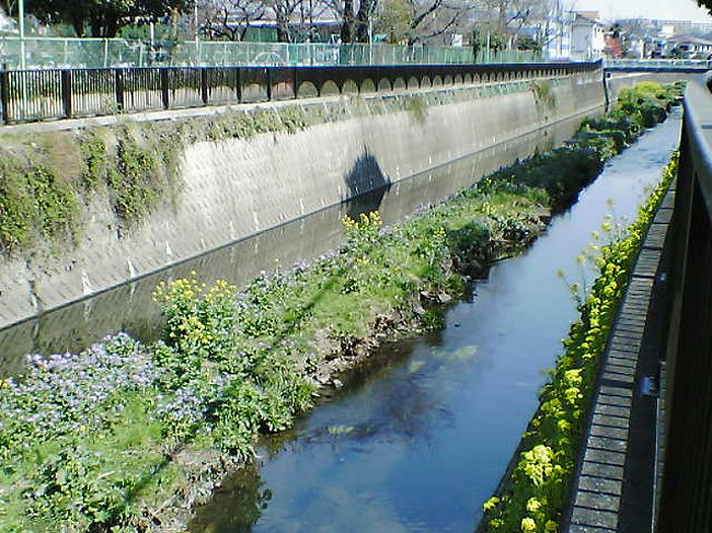 東京・世田谷区は大半が住宅地だが、まだ畑が残っていたりする。<br />小さな川があったり、坂道も多く散歩をするにはイイところ！！<br />ですが、隣に新宿や渋谷があるので、物価は高い！！<br />住むにはチョンコリお金が必要・・（＞＿＜）”