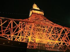 東京夜景巡り 東京タワー＆東京ドーム