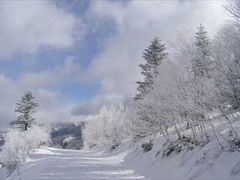 ２００７’志賀高原スキー（その４）