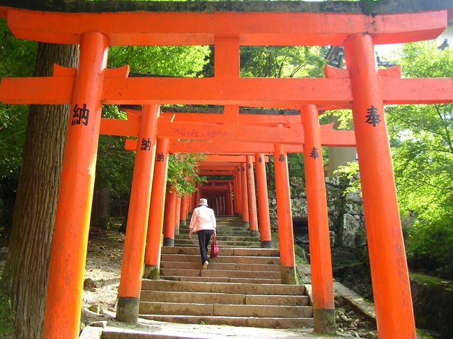 行ったことのない街に行ってみたかったので、１週間かけて、山陰・山陽をぐるりと回ってみました。１日目は伊根(舟屋)〜出石(そば)〜豊岡になります。