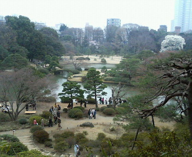 駒込の「六義園」へ行ってきました。<br />五代将軍・徳川綱吉の家臣、柳沢吉保が、<br />１７０２年に作った、日本庭園です。<br />