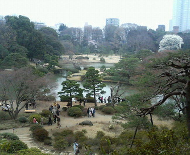 駒込の「六義園」へ行ってきました。<br />五代将軍・徳川綱吉の家臣、柳沢吉保が、<br />1702年に作った、日本庭園です。<br />