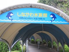 しながわ水族館