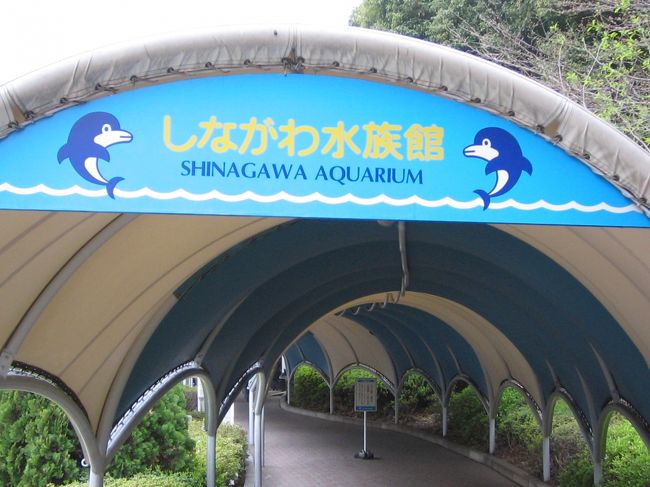 しながわ水族館 品川 東京 の旅行記 ブログ By Sayakaさん フォートラベル