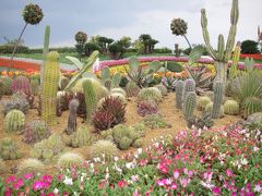 熊本～宮崎（パート４：綾・青島編）