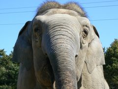 ２．はままつフラワーパークに隣接する浜松市動物園