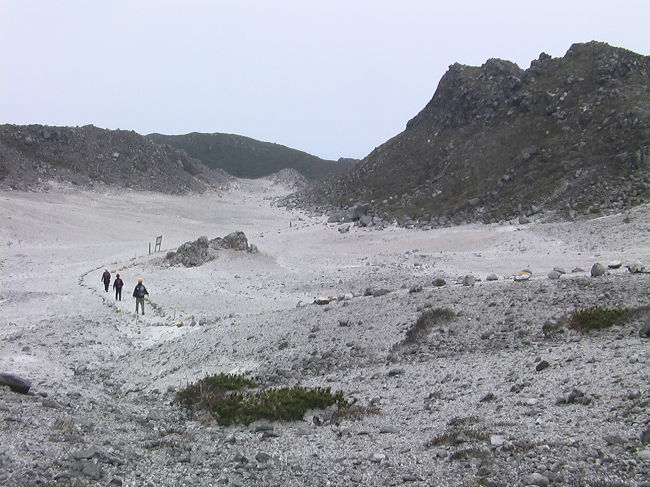 神々の物語が残る美しい島「神津島」<br />花の百名山でもある「天上山」に登る。<br />標高572mの天上山はほぼ島の中央に鎮座している。海上から遠めに見る島は天上山がほぼ面積を占めているように見える。<br />9人の山の仲間とのトレッキングは春の嵐に遭遇し、島での一日を余分に楽しむ事になるとは夢にも思わない旅となった。<br />3／23、竹芝桟橋を21時55分に出港。<br /><br />　