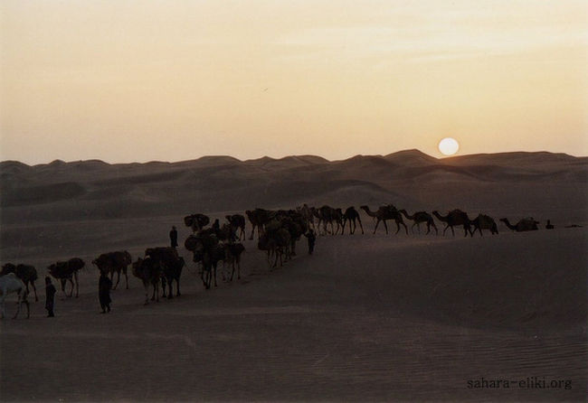 タッシリ・ナジェールでは４ＷＤ車で砂漠を移動するトレッキングツアーが盛んに行われていますが、そんな旅とは一味違うラクダの体温を感じることが出来る、そして地球にやさしい「サハラ・エリキ（ラクダと旅をする）」ツアー。<br /><br />ラクダのリズムに併せて歩き、疲れたときはラクダに乗り、サハラ砂漠で太古から未だに護られているトゥアレグ人の生活を垣間見ることが出来るキャラバンの旅に、あなたも参加しませんか。