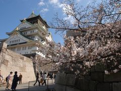 大阪城、大川べりの桜（３月３０日）