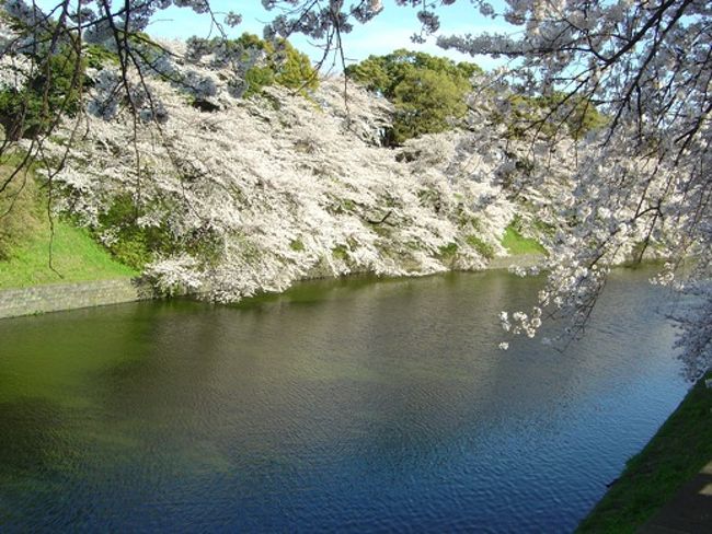 3/30（金）、会社をサボって桜が満開の東京へ、妻と二人で花見に行って来ました。<br />北の丸公園を出て、千鳥ヶ淵の緑道へ向かいます。<br />いよいよ今日のお目当てが待っています。