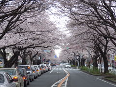 相模原　駅周辺