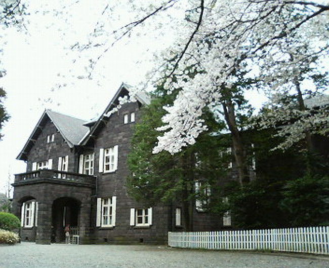 週末なのになぜか、ダンナも私も早起きしてしまった。<br />桜が私たちを呼んでいたに違いない!<br />http://cembalonko.exblog.jp/m2007-04-01/#5024577<br />