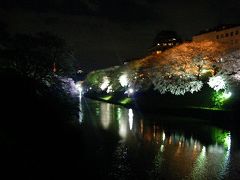 千鳥ヶ淵緑道の桜ライトアップ