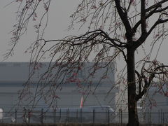 成田空港＆航空科学博物館