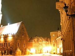 妖精の住む町―タリン