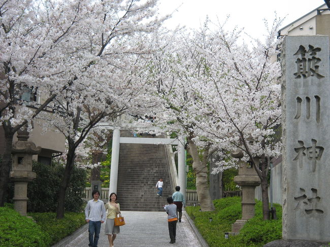 今年はどうかなと心配でしたが，週末にばっちりお花見日和になってとても良かったです．文京区で桜を楽しんでみました．<br />
