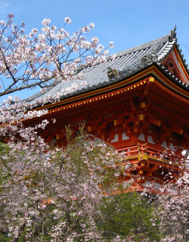 ２００７年春の京都で見た桜の記録です。<br /><br />3月31日醍醐寺　京都御所<br />4月7日御所一般公開<br />4月8日東寺<br />4月14日御所、原谷苑、仁和寺、平安神宮<br />4月15日上賀茂神社、大日堂将軍塚<br /><br />旅行記に書いた桜の地図<br />http://maps.google.com/maps/ms?ie=UTF&amp;msa=0&amp;msid=104542224387498805220.0004757facc438f6e8a92