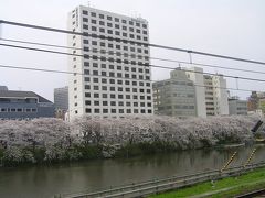 電車の中からの桜