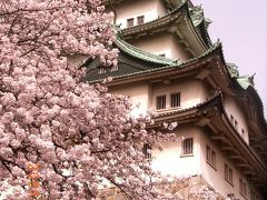 【花見】名古屋城