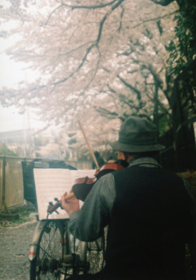 天気予報が外れ、初夏を思わせる陽気となった日曜日、<br />２年ぶりの桜撮影に出かけてみました。