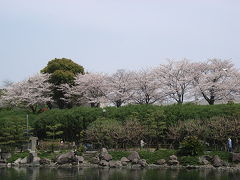 しながわ区民公園は穴場？