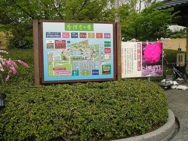 三重県にある「なばなの里」へ行ってきました。園内全体に植物と建物がとてもいい感じに配置されていましたが、中でもベゴニア・ガーデン（温室）の絵のような美しさと、チューリップとビオラで一面埋め尽くされた広大なお花畑は圧巻でした。