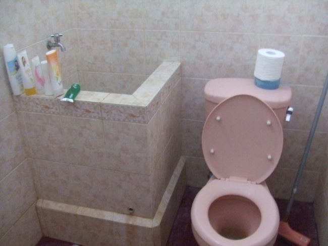 今回は、生活に密着したバリの一般家庭のバスルーム（インドネシア語でカマルマンディ）をレポート！！<br />トイレの横にあるのは、とっても小さな一人用の浴槽？ではなく、そこに水を貯めておいて手桶で汲んで水を浴びるため、又はトイレを流す時に使う為に貯めておくもの。初めて見たときは、ホントに小さなバスタブかと思った私、そして事実を知った時は軽くカルチャーショックでした。<br />このアパートは新築の為、横にはシャワーもあるし、トイレも洋式だし、これはかなりキレイなほうですが、昔ながらの家やちょっと古いアパートだと和式風のトイレと、このバスタブのようなものだけの所がまだまだ多いようです。そしてもちろんお湯などないので「水」のみ。お湯が当たり前の日本の生活に慣れている私には、暑いバリと言えど、肌寒い時に浴びる水シャワーは、結構キツイ・・。一方バリの人達は赤ちゃんの時から水だから平気なのかと思いきや、やっぱり寒いものは寒いそうです。<br />余談ですがトイレの話が出たので・・・バリ島に住んでいてびっくりする事の一つ、いわゆる「立ちショ○」をする人がすごく多い事！通勤で交通量のとっても多いバイパスを15分ほど毎朝通るのですが、毎朝って言っていいほど道端に車やバイクを止めて用を足してる人がいます。こんなとこでするか！？という場面もちょくちょく・・。ありのままの生活の姿なんでしょうが、観光客がたくさん訪れるバリ。もう少し気を使って欲しいな〜と思うのでした。<br /><br /><br />この旅行記は旅行会社「マップツアー」のバリ支店で働くスタッフの日記です。マップツアーなら現地支店があって安心！バリ島旅行はマップツアーで！http://www.atb.tv/kansai/