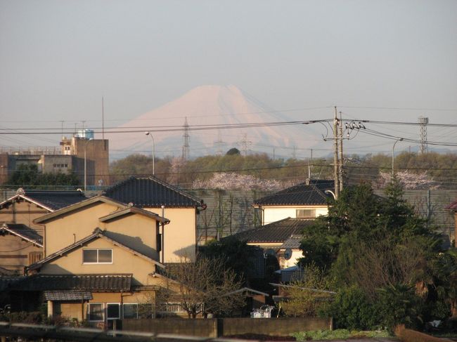 このところずっと暖かい日が続いたことと、黄砂等の影響ではっきりとした富士山は見られなかった。　今日(４月５日)の午前６時頃に目が覚めてみると、快晴の良い天気に恵まれていたので真っ白に化粧直しをした美しい富士山が見られた。<br /><br /><br />＊久しぶりに見られた美しい真っ白な富士山・・・午前６時１０分頃