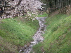 見沼通船堀と木曽呂富士ぶらり散歩