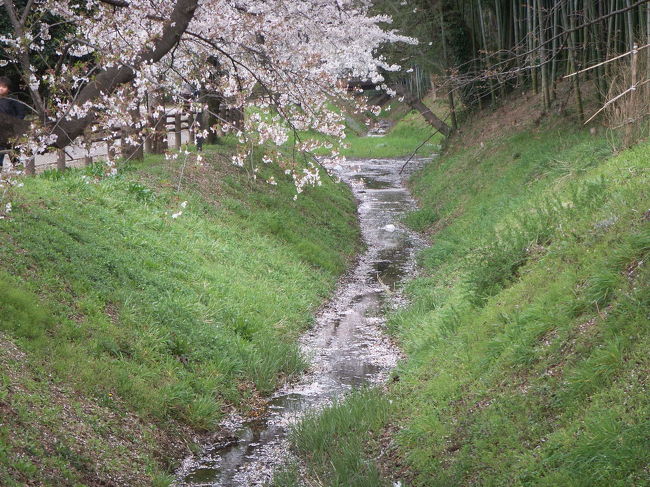 我が地元埼玉。<br /><br />川口の見沼代用水と木曽呂富士。<br />ちょっと自転車でひとっ走り行ってきました。<br /><br />徳川吉宗の享保の改革の中、新田開発政策の一環として作られたらしい、用水路ですが、これが当時では史上空前の大事業。<br /><br />県北を流れる利根川の水を一部、南部のさいたま市に流れる芝川と荒川に注ぐという、東と西に二本の水路を作りました。その結果、この地域は恵み豊かな肥沃地帯に生まれ変わり、見沼田んぼとして後世に伝わりました。<br /><br />歴史が好きな人も一見の価値ありですが、春夏秋冬を通してとても美しい散歩道です。ぜひ地元の人は、一度足を運んでください。 