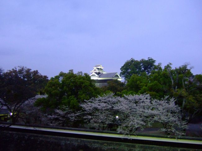 職場の歓迎会が熊本城の夜桜が満開が見える料亭でありました。<br /><br />今年の送別会、歓迎会、熊本では名ある料亭、担当の幹事さん<br /><br />有難うございます。<br /><br />私ごとです、実は、縁あって４月１０日のクローズアップ現代（ＮＨＫ総合　１９時３０分）ＢＳだと２０時３０分ですが、私ども夫婦が熊本より登場いたします。<br /><br />団塊夫婦の一人として選んだ人生が紹介されます。<br /><br />お時間が許す方は是非、ご覧頂きたいと思います。<br />