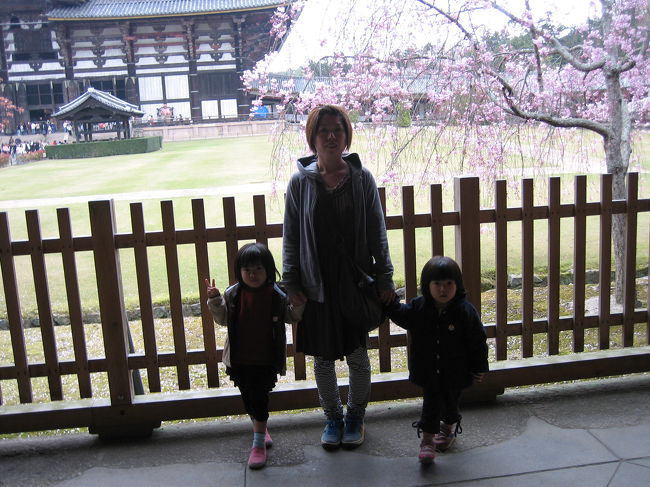 今日は予報では昼から「晴れ」だったのになあ〜〜。あいにくの空模様でした。でも♪♪奈良公園に着いたら雨が上がりました（*＾＾*）ﾔｯﾀｰ!!!<br />桜もきれいだったし、鹿にせんべいをあげたし・・・♪♪とっても楽しかったです！！