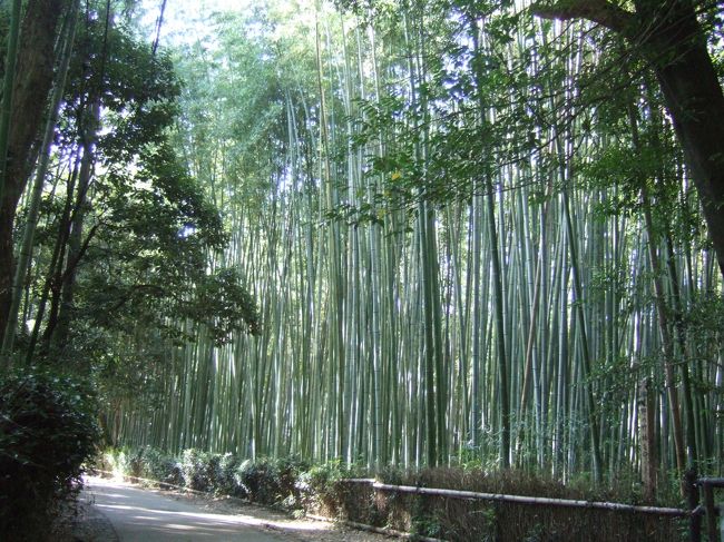 秋の京都を満喫してきました。<br />１０月の秋の旅行という事でしたが、夏のように暑い2日間でした。<br />2日間という短い期間でしたが、色々な所を効率よくまわれてなかなか充実できました。<br /><br />1日目のコースは・・・<br />金閣寺→龍安寺→嵯峨野・嵐山というコースです。