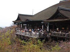 春がきたぞー！大阪ＵＳＪと京都桜の旅　京都編