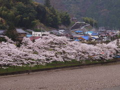 奈良県吉野郡に花見　2007年4月