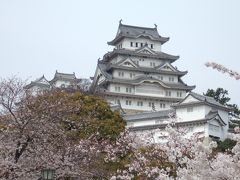 桜満開の播州小旅行