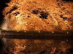 桜 *名古屋・彦根城（青春１８きっぷの旅）