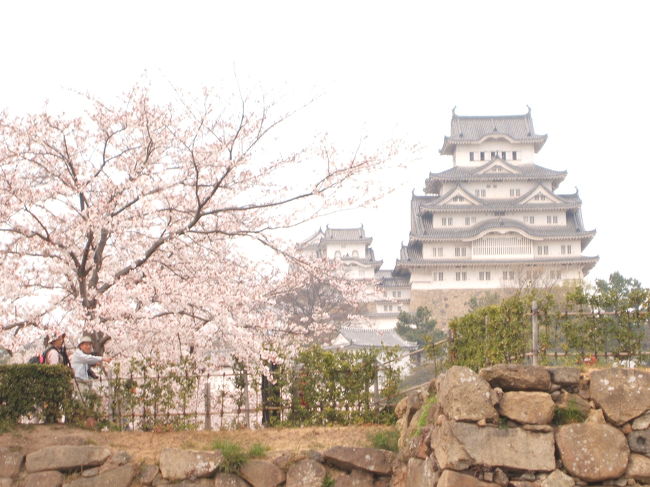 青春１８きっぷ乗り潰しに、<br />ちょうど満開の花見頃の姫路城へ行きました。<br />