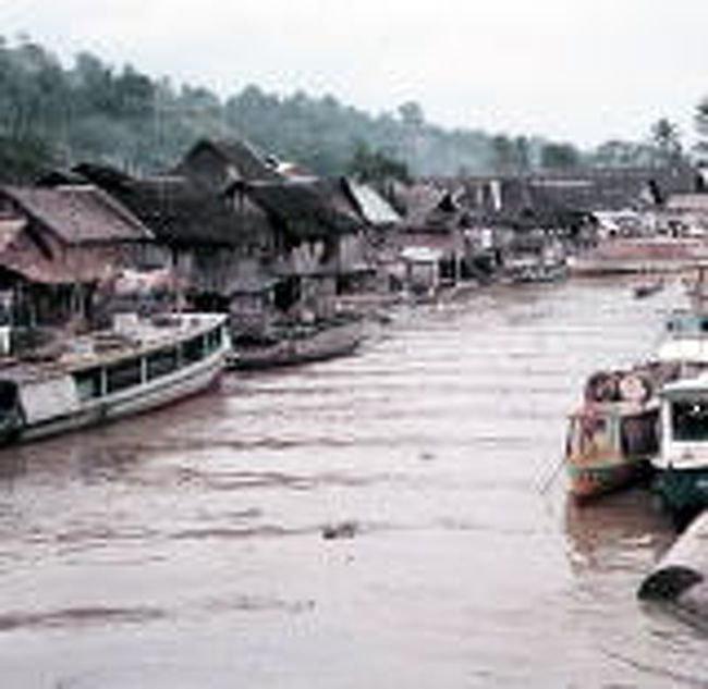 会社に就職して海外駐在員としてインドネシアの東カリマンタン<br />に赴任１９７２年４月の事です。<br />会社の事務所はジャカルタとサマリンッダと云うマハカム河を河口からボートで<br />１時間ほどさ逆上った所にある街にありました。<br />赤道の少し南で熱帯性の病気を克服した人たちが生活しているので<br />不衛生な生活環境でも彼らは何でもありません。<br />日本人がそれに慣れるのにはやはり１年近くは必要です。<br />そんな所に５年も生活して病気ひとつかからず<br />免疫力が強かったのでしょうかねえ?？<br /><br />その後マレーシアのサンダカンやコタキナバルにも駐在<br />し１９７５年のベトナム戦争終結時にはサバ州のコタキナバルに<br />居て地元の人達は難民が相当やってくるのではと<br />騒いでいた事を思い出します。<br />今では日本でも有名な？ビーチリゾートやダイビングのスポト<br />して沢山の観光客でにぎわっています。<br />またジャングルはエコツアーの人達が沢山訪れています。