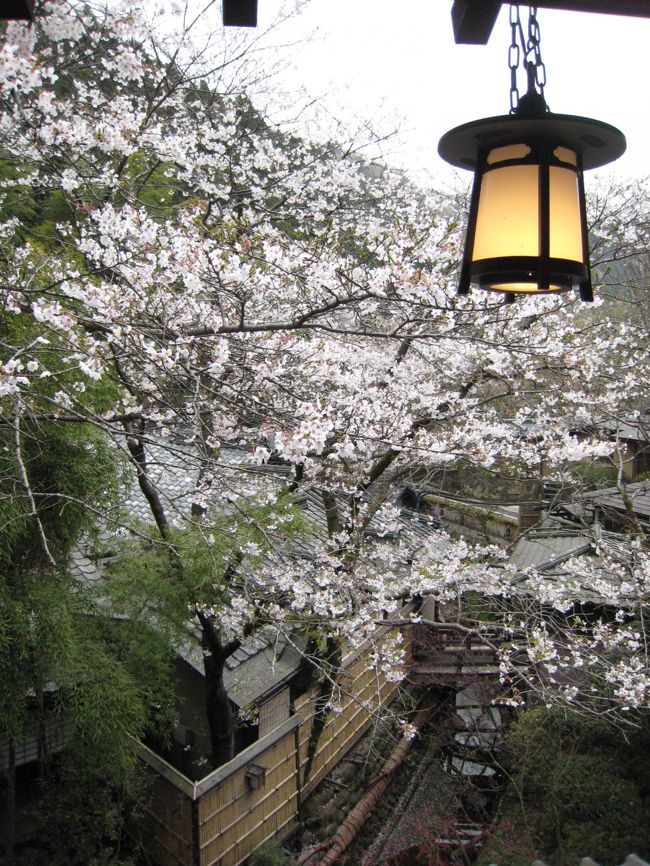 大学時代からの友達の誕生日を祝うべく、ちょっとリッチにうかい竹亭で懐石ランチしてきました。<br />まるで京都にいるかのような錯覚を覚えるほど、完璧な造りの敷地でどこから写真を撮っても絵になります。本当に素敵なところです。しかもまだ桜が見ごろでタイミングも良かったと思います。<br />HPはこちら<br />http://www.ukai.co.jp/chikutei/home.html<br />ランチでも予約を入れないと席が取れないこともあるので行くときは前日までの予約がオススメ。<br /><br />ランチの後は日帰りで勝沼まで遠征したのですが、それはまた別にアップすることにして、今回はうかい竹亭の敷地内の様子とランチ懐石コース（昼膳）をご紹介します。<br />