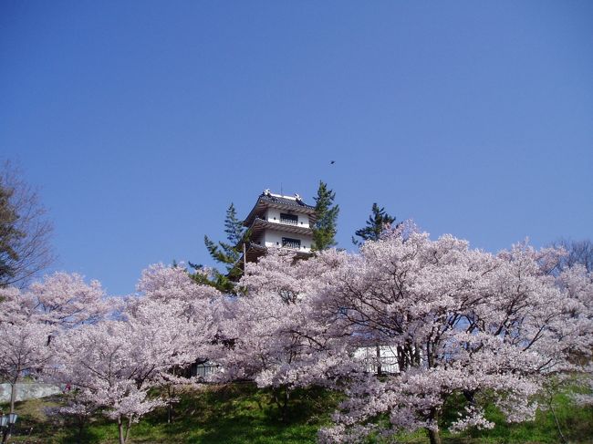 以前から気になっていた高遠城址公園の桜を見てきました。『天下第一の桜』と称される1,500本あまりのタカトオコヒガンザクラはほぼ満開でした。<br />