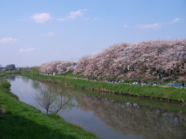 この街に住んで早や１０年以上・・・それなりに愛着も感じてマス。<br /><br />「海なし県」の埼玉にとっては「川」と「自然」が何よりの憩いの場です(*^-^*)<br /><br /><br />武蔵野線・東武線等都心への通勤も１時間半圏内。<br />Ｒ４号→外環自動車道→各高速自動車道のアクセスも良し！<br /><br /><br />一度遊びに来てね♪(^O^)<br /><br /><br />