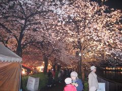 青春１８きっぷの旅～大阪造幣局・桜の通り抜け～