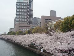 ２００７　大阪へお花見に！