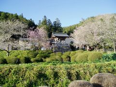 春の粟野路