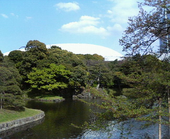 ご存知、水戸光圀候が造園した、日本3大名園のひとつ。<br />桜吹雪が舞う中、新緑を満喫しました。<br /><br />先日行った六義園の広さが8ha、<br />後楽園は7haですが、<br />後楽園の方がより広く感じました。<br />起伏に富んだ地形だからでしょうか。<br />丘あり、沢あり、名刹あり。<br />庭園は大人の遊園地って感じがします。よく歩いたなー。<br /><br />ひとこと。<br />白い東京ドームと高層ビル、とっても邪魔です!(怒)