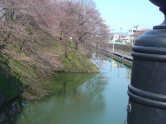 「桜の山形」の旅